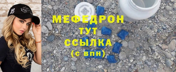 индика Гусев