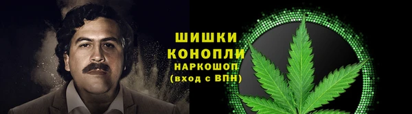 дурь Горно-Алтайск