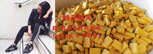 индика Гусев