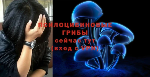 бутик Гусь-Хрустальный