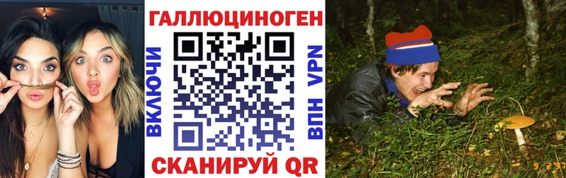 Галлюциногенные грибы GOLDEN TEACHER  Купить  Жердевка 