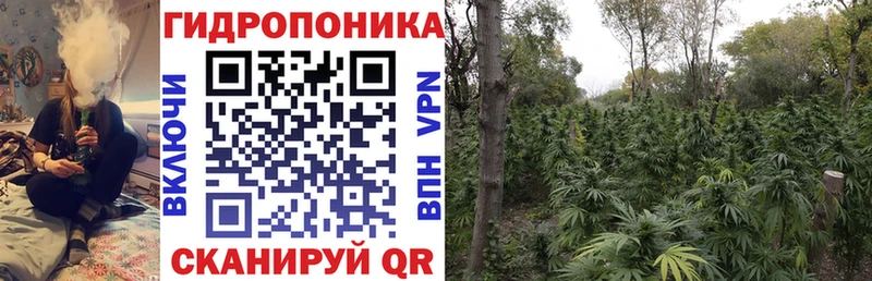 Купить Жердевка Бошки марихуана семена